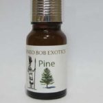 Pine Essential Oil – 10ml