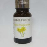 Daisy Damianita Essential Oil – 10ml